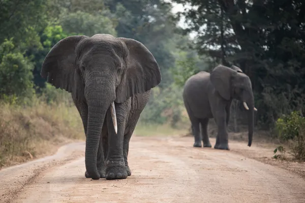 Mother and Child thumbnail
