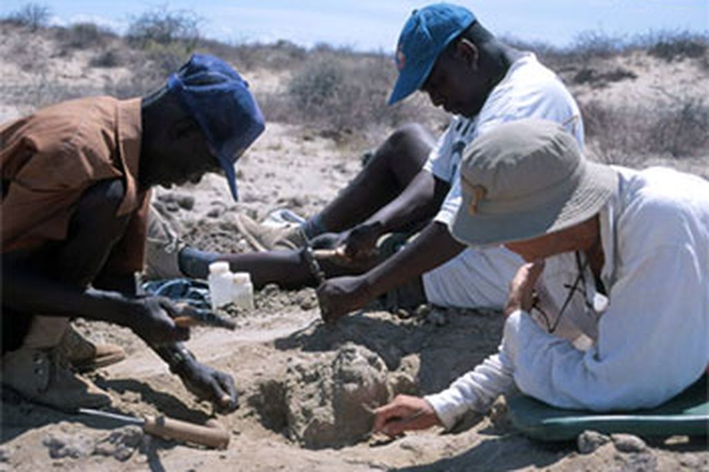 A field crew in Kenya