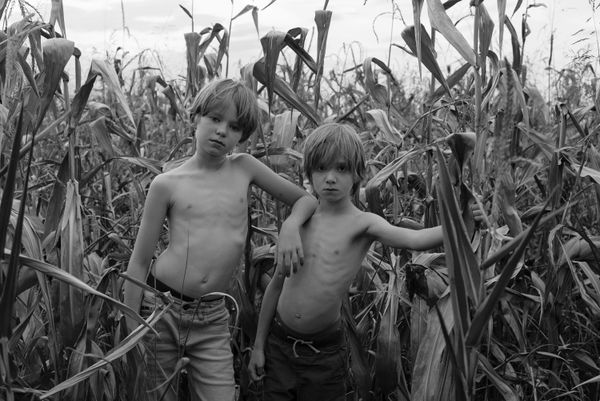 Brothers in a corn field thumbnail