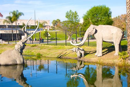 The La Brea Tar Pits in Los Angeles is the only active urban paleontological excavation site in the United States.