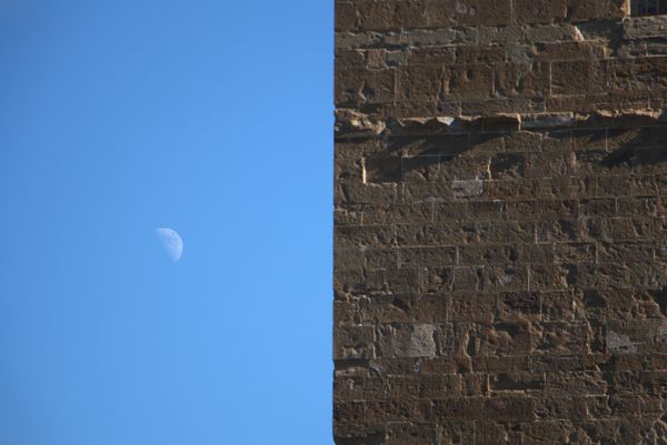 Architecture's touch with nature thumbnail