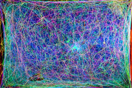 Researchers took cross sectional scans of a spider web with a laser to make this 3D image of its structure that they eventually translated into music.
