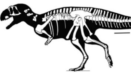 A skeleton reconstruction of Eoabelisaurus, showing the recovered parts of the skeleton