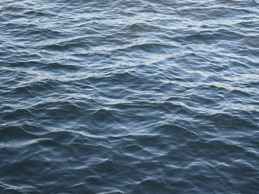 An image of ocean water taken from above the surface. The water is blue and rippled.