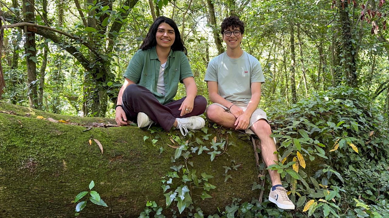 Image 2 for Teenagers build robot to plant trees in wildfire-stricken areas
