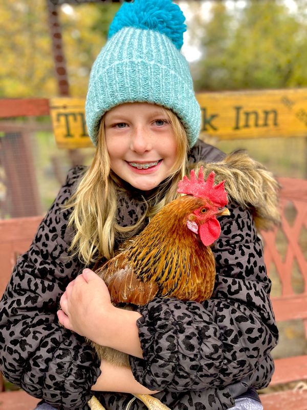 Our granddaughter & her pet chicken thumbnail