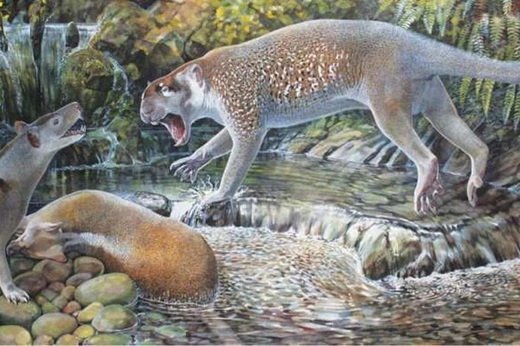 Marsupial Lion