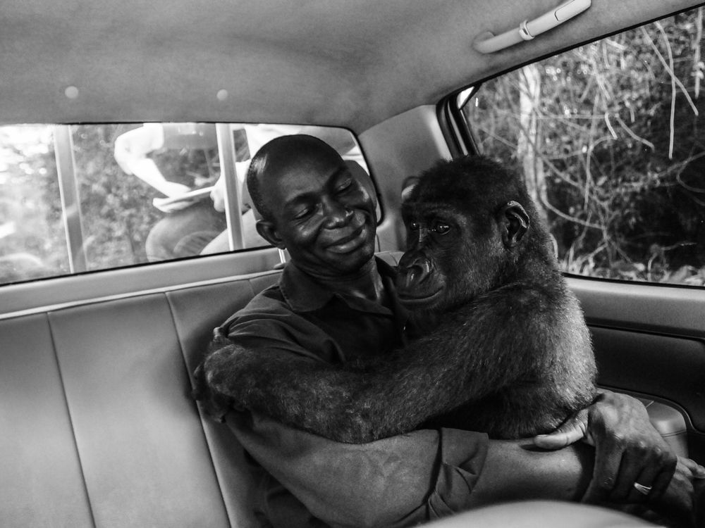 WINNER © Jo-Anne McArthur - Wildlife Photographer of the Year (1).jpg