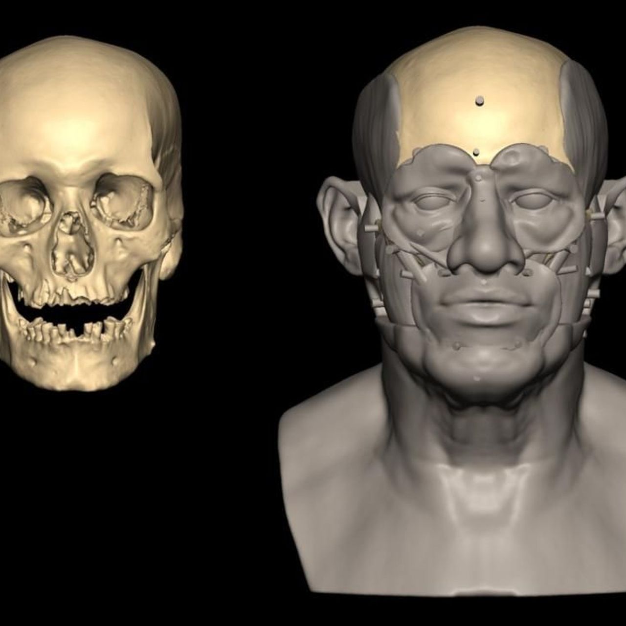 EGYPT ～エジプト～HUMAN facial_reconstruction_1.jpg