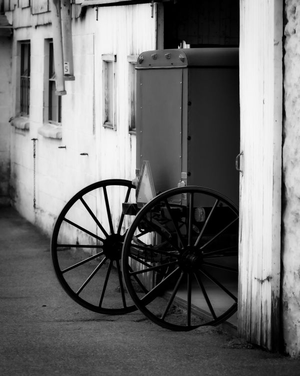 Amish Buggy in Black and White thumbnail