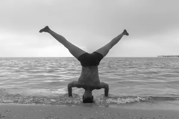 Untitled (55) thumbnail