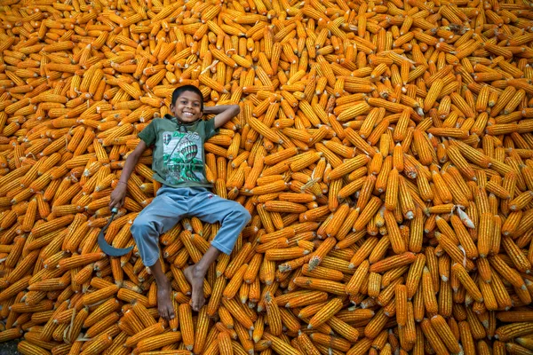 Boy on corn pile thumbnail