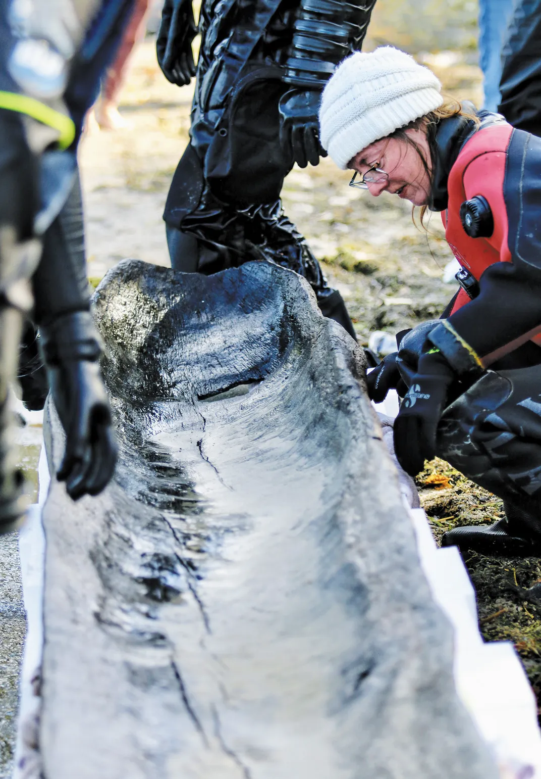 people look over a dug out canoe