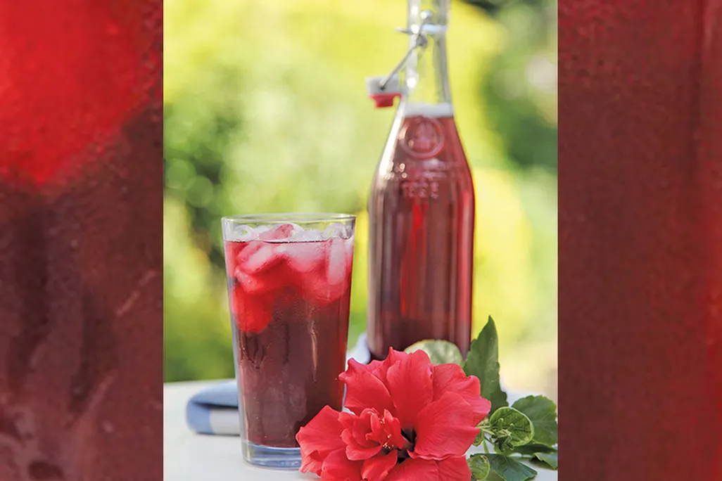 a red drink bottle and glass with hibiscus flower