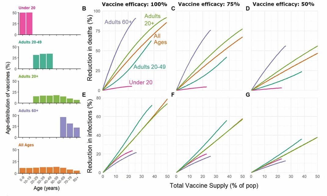 Covid-19 Vaccine Rollout Scenarios