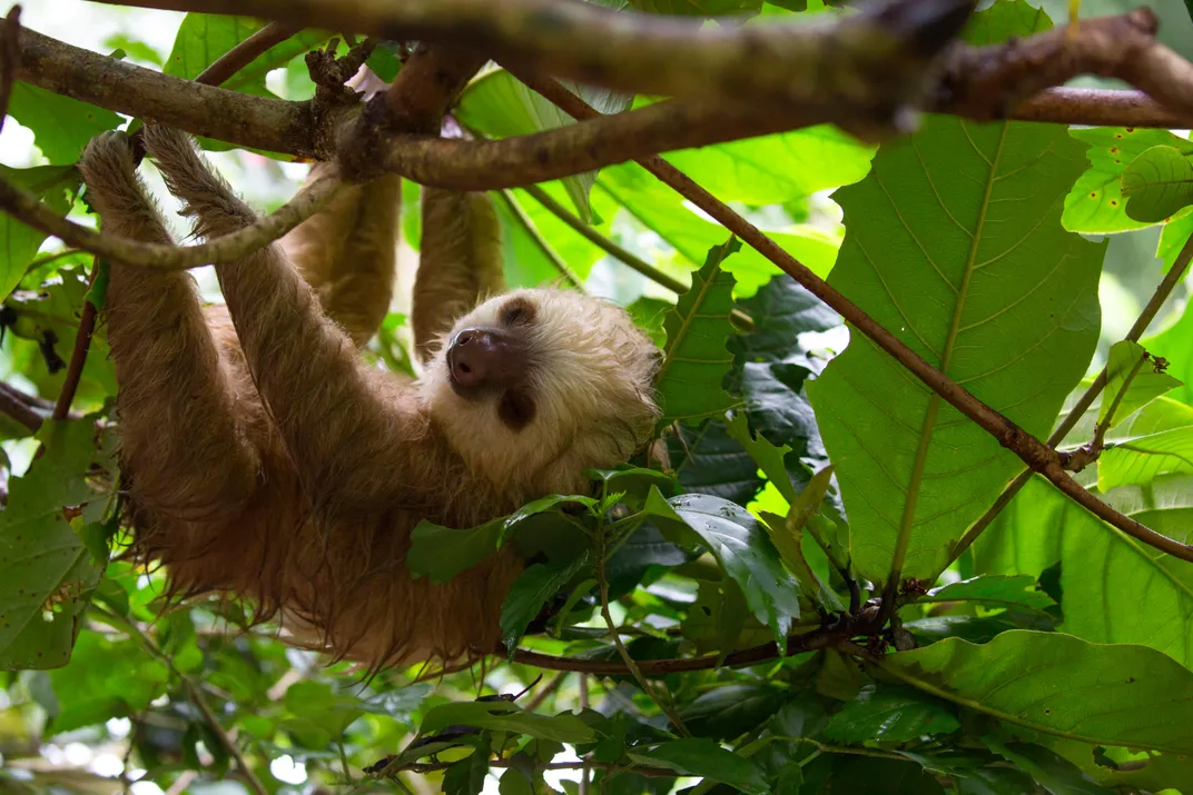 Find Balance in Costa Rica’s Natural Treasures