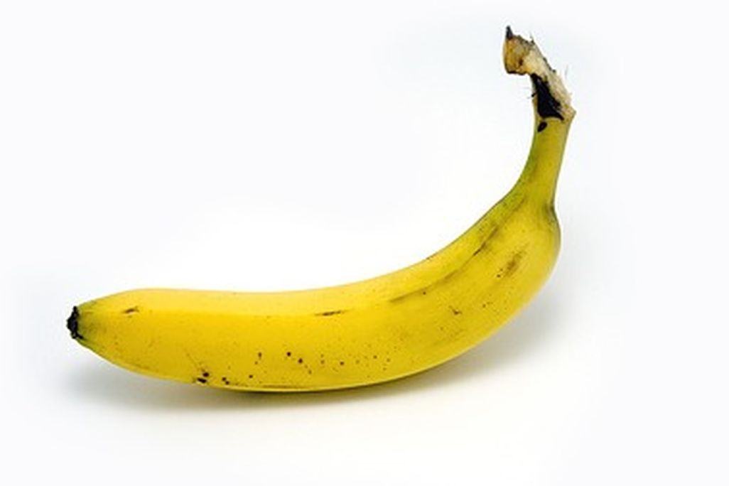 Bananas have been cultivated for thousands of years. But are the days of the familiar Cavendish numbered?