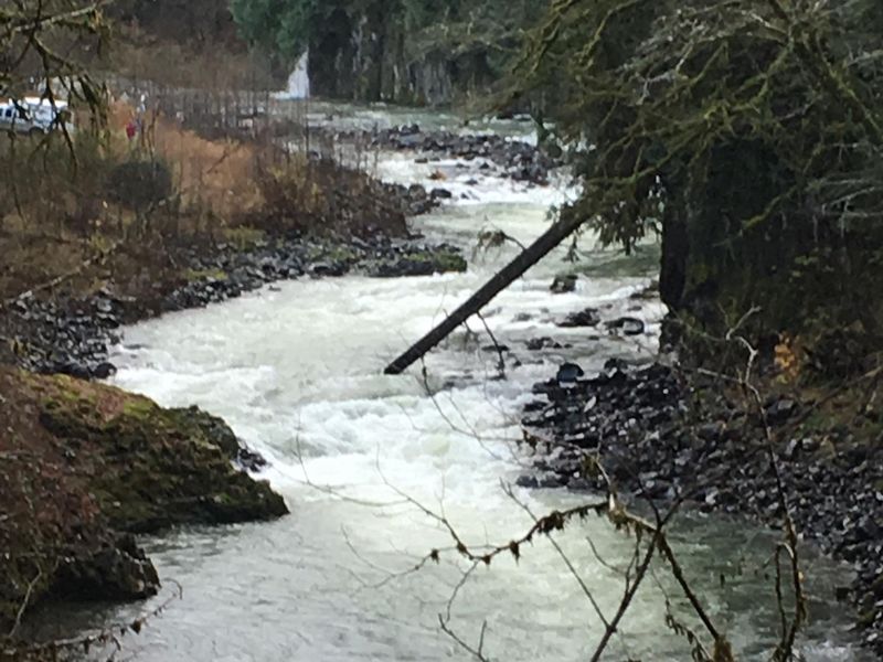 Recovery on the upper Chehalis river Smithsonian Photo Contest