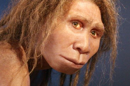An artist's reconstruction of Homo georgicus