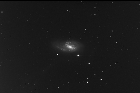 The supernova designated SN 2016cok can be spotted at the edge of the Messier 66 galaxy, marked by the two rectangular crosshairs.