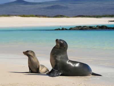galapagos-islands