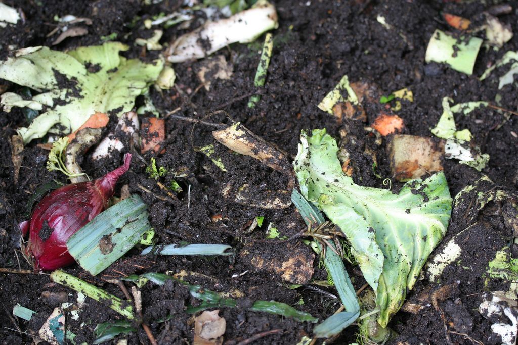 Compost
