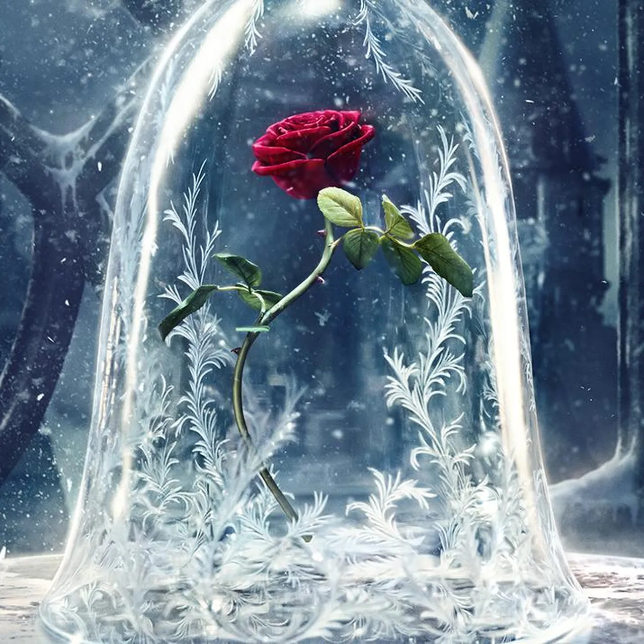 The Beast's Enchanted Rose Lasted a Decade. How Long Can a Real