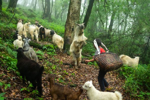 Stumbling Memories thumbnail