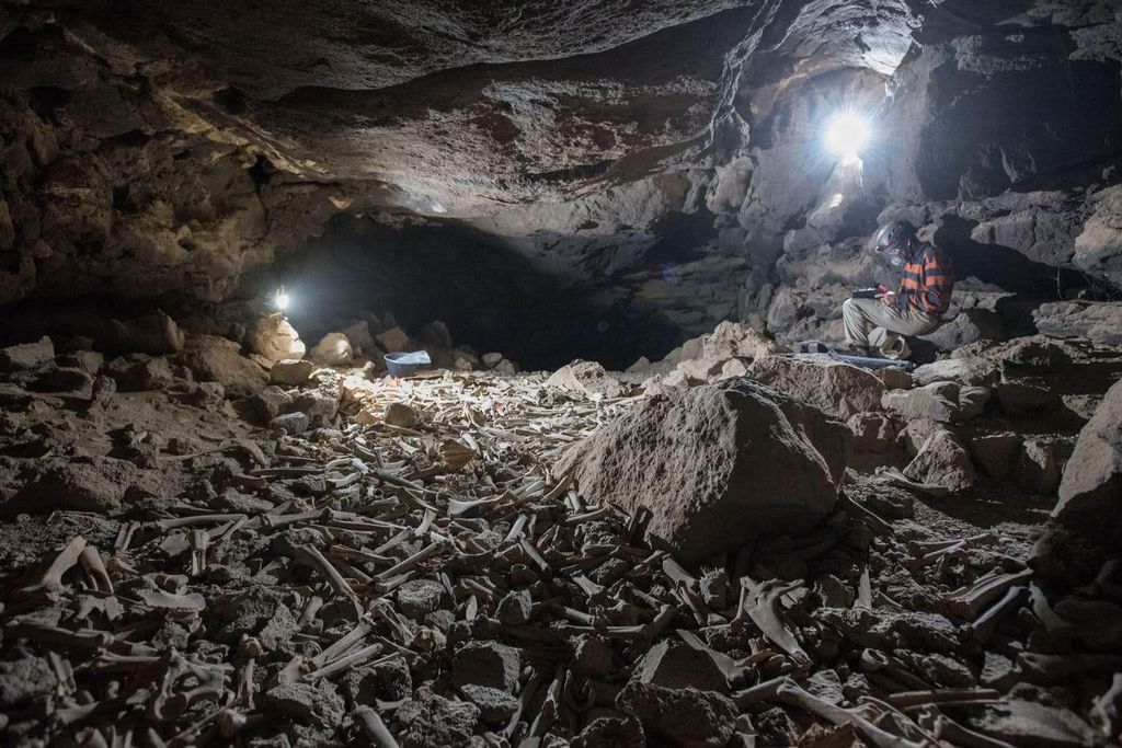 Hyena Cave