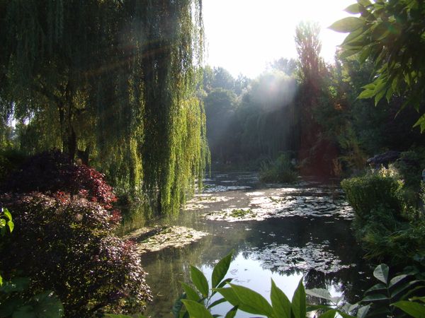 Monet's Water Lilies thumbnail