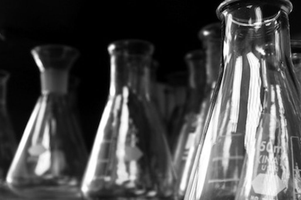 scientists evaluated female job applicants