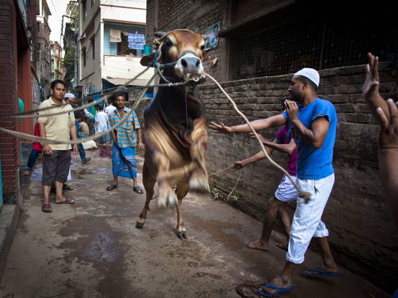 Muslims worldwide observe the Eid festival, during which ...