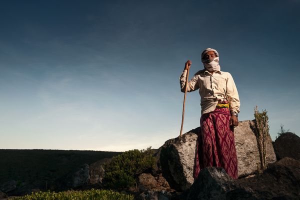Portrait of a Socotri shepherd thumbnail