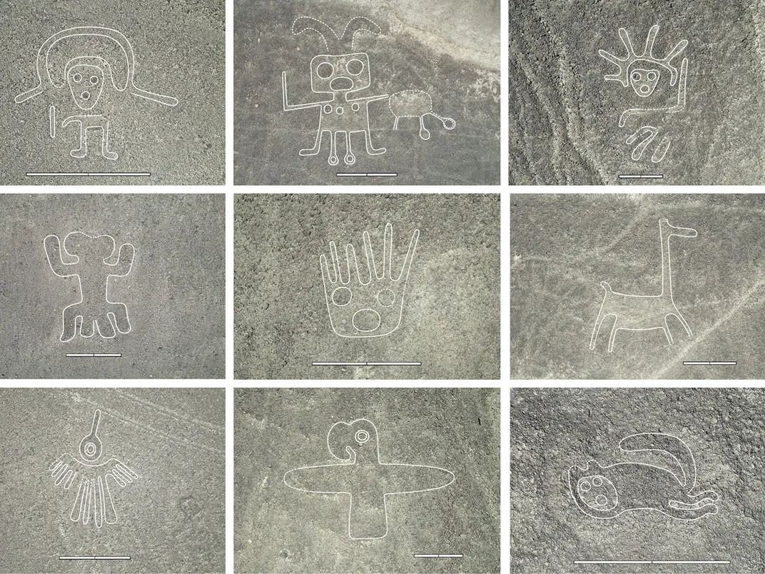 Nine of the newly discovered drawings