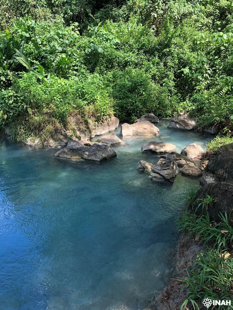 Surroundings of Miramar Lake, located in the Montes Azules Biosphere Reserve