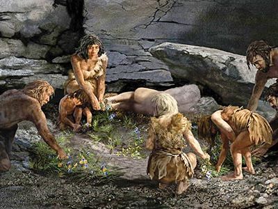 Ongoing studies of Neanderthal skeletons unearthed in Iraq during the 1950s suggest the existence of a more complex social structure than previously thought.