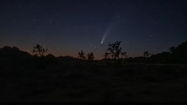 Comet NEOWISE over Joshua Tree thumbnail