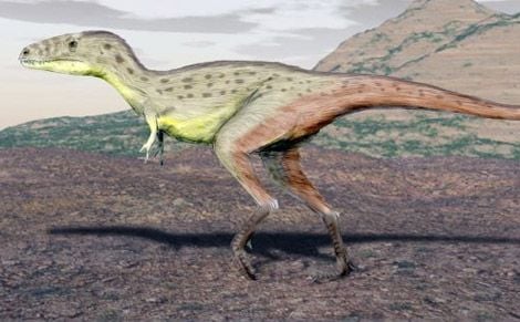 A restoration of Raptorex by Nobu Tamura