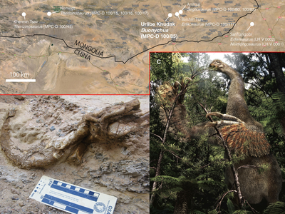 In the Gobi Desert, scientists discovered two fossilized claws of a large, feathered dinosaur now called&nbsp;Duonychus tsogtbaatari.
