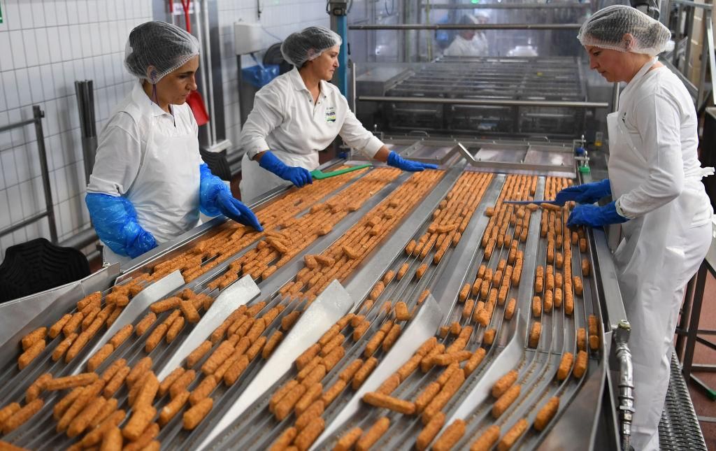 fish sticks on conveyor