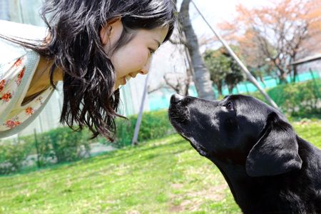 A student shares a loving gaze with a Labrador retriever.