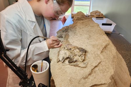 Sixteen-year-old Lindsey Stallworth cleans the whale skull in the lab at the Alabama School of Mathematics and Science.