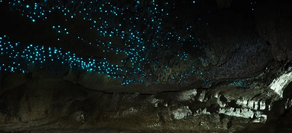  Glowworms in Waitomo Caves 