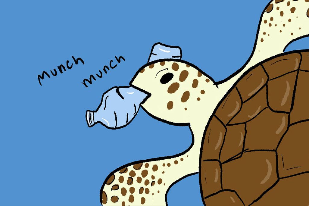 sea turtle eating plastic
