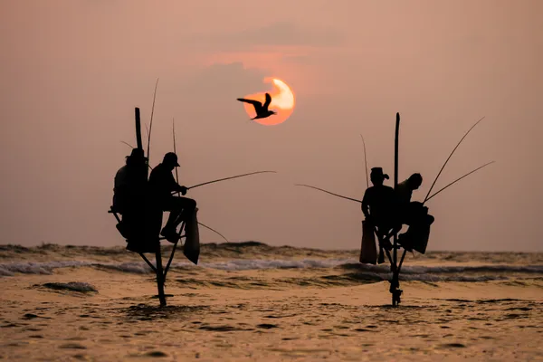 Fishermen in Sri Lanka thumbnail