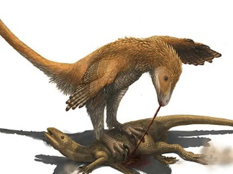 This is my Deinonychus! There are many like him, but this one is