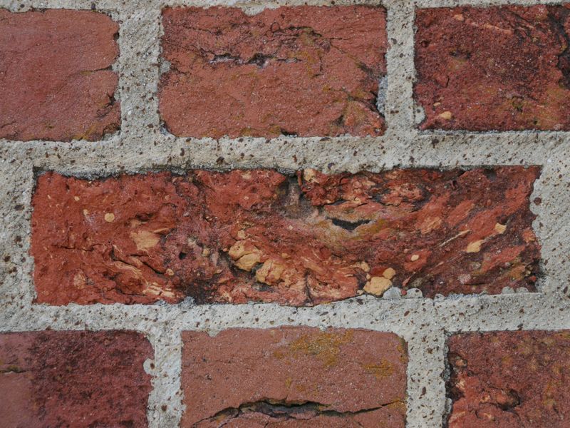 Fort Pulaski GA, Bricks of character. Smithsonian Photo Contest