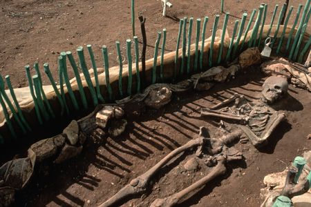 Skeletal remains being dug up at La Isabela, the first European settlement in the New World, founded by Christopher Columbus is 1493. 