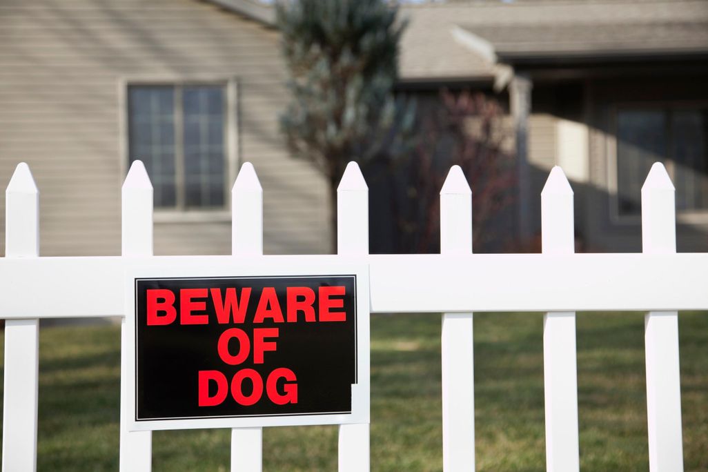 Beware of Dog