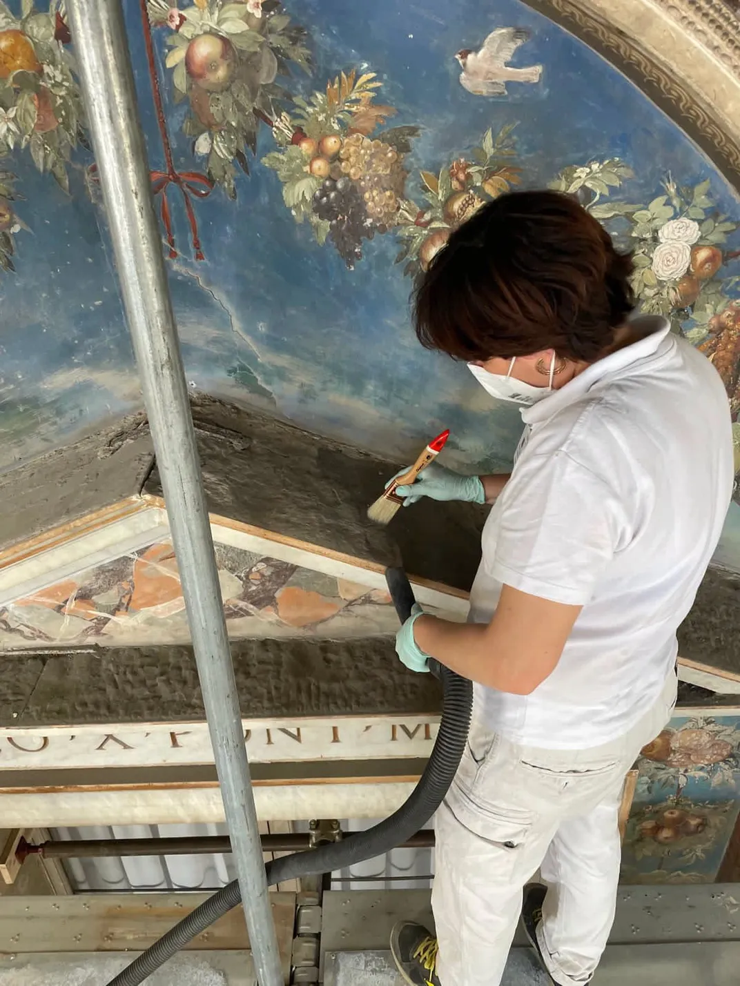 conservator
